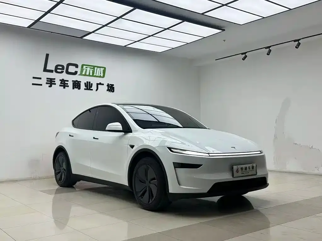 Tesla Model Y — фото 7