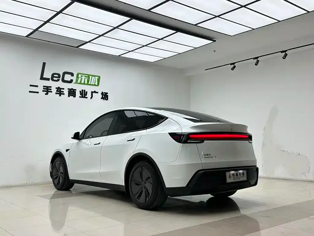 Tesla Model Y — фото 6