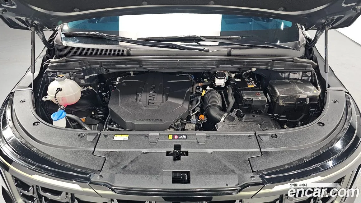Kia Carnival — фото 10