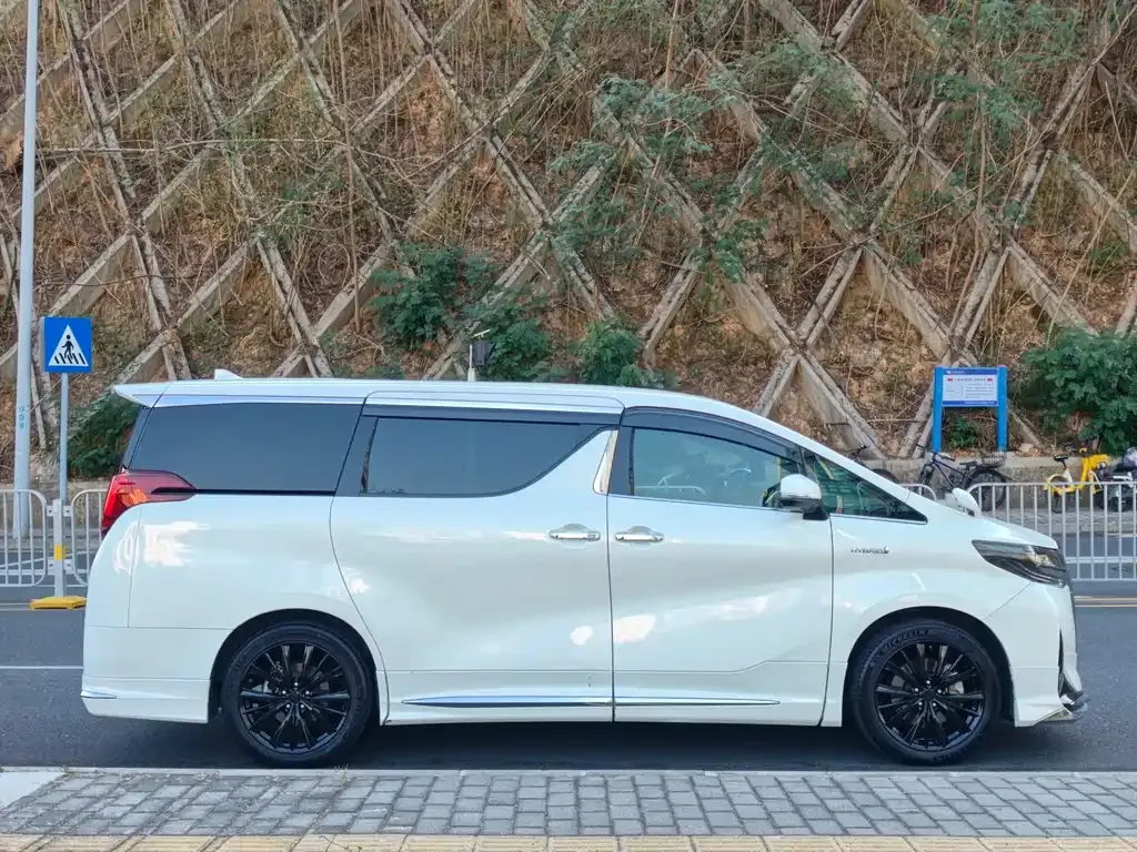 Toyota Alphard — фото 10