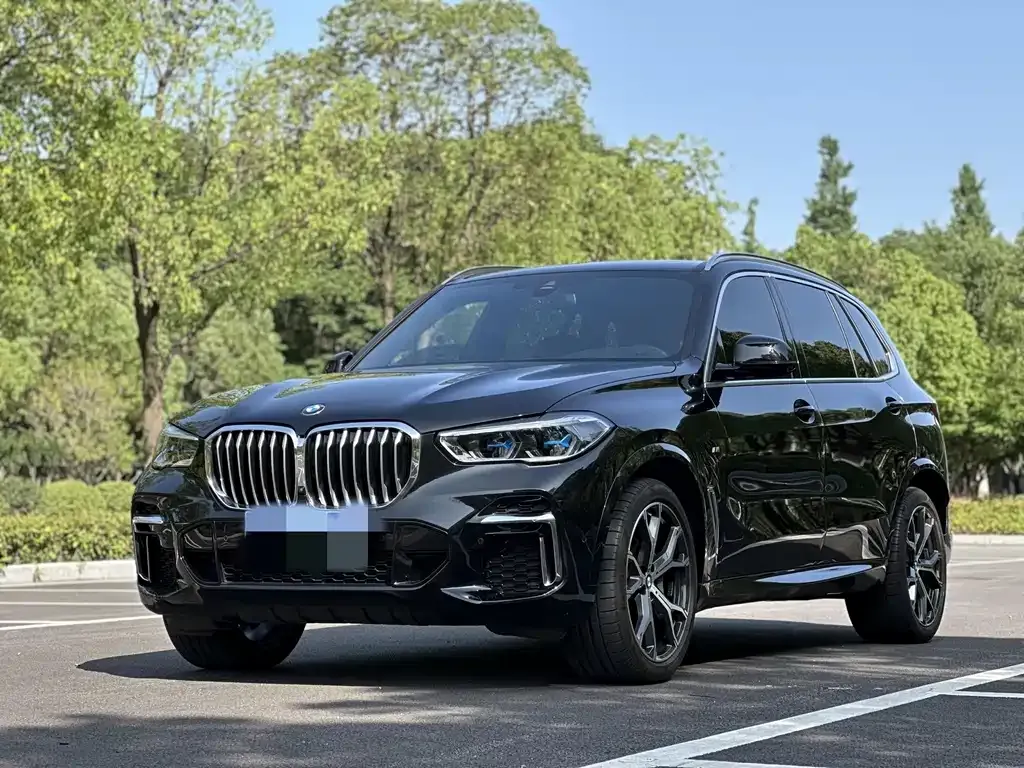 BMW X5 — фото 1