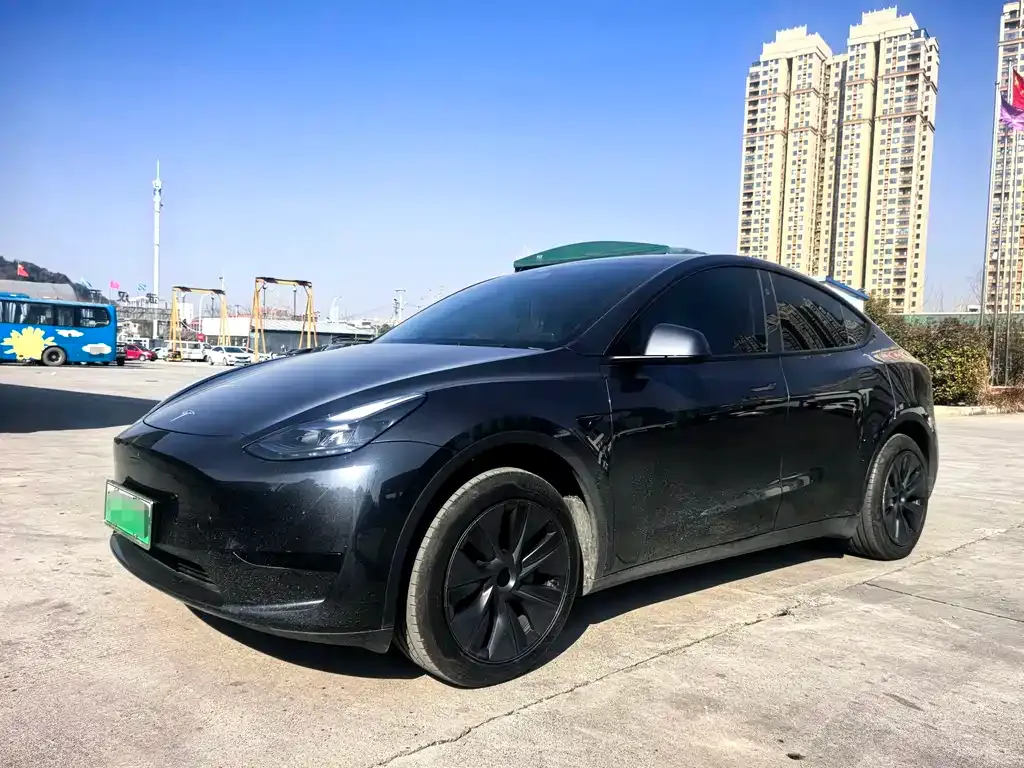 Tesla Model Y — фото 1