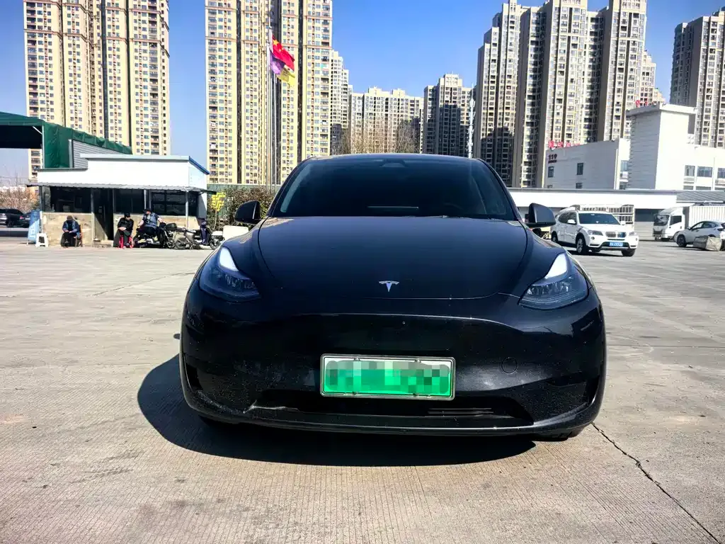 Tesla Model Y — фото 3