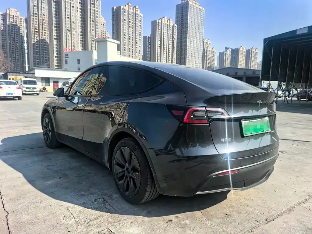 Tesla Model Y — фото 2