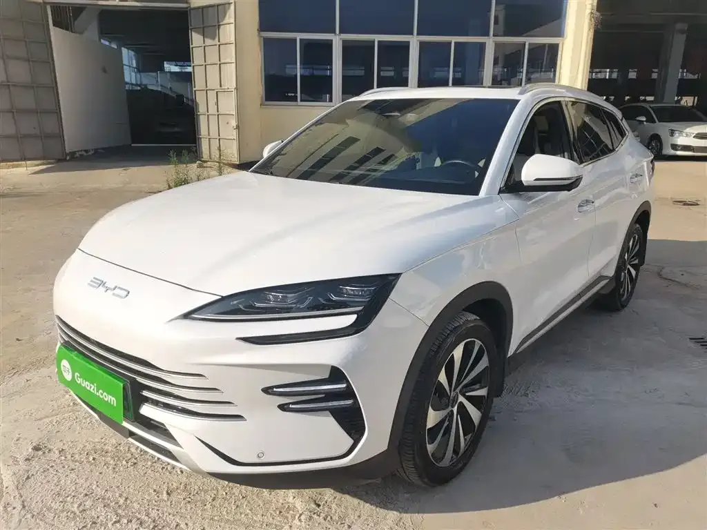 BYD PLUS New Energy — фото 1