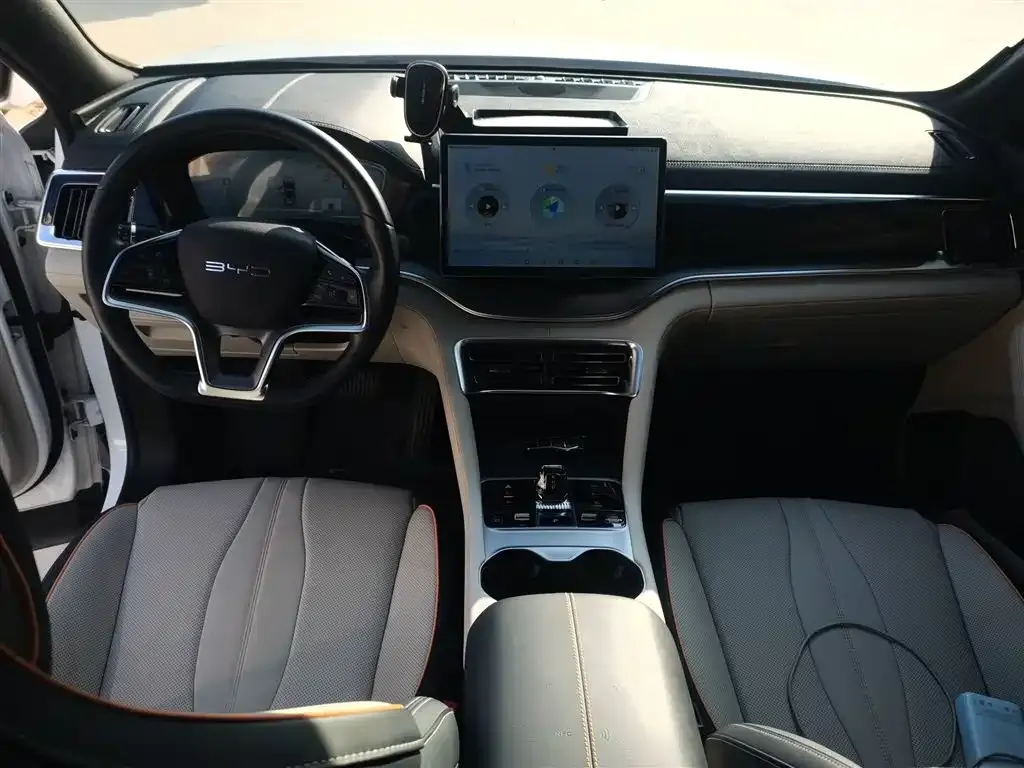 BYD PLUS New Energy — фото 10