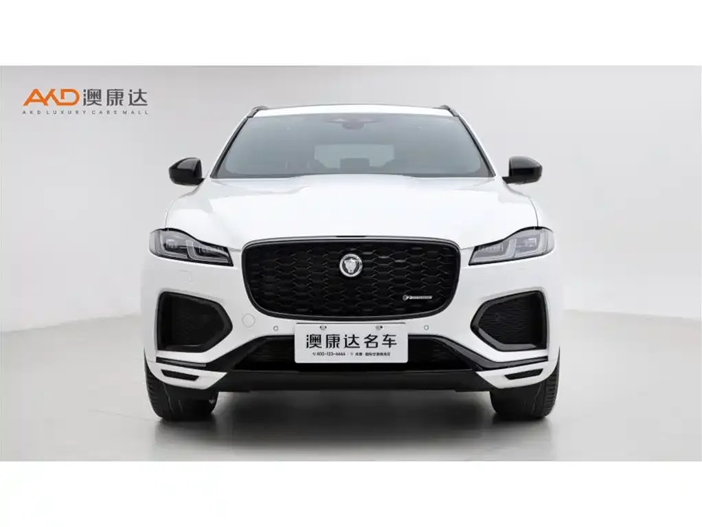 Jaguar F-PACE — фото 6