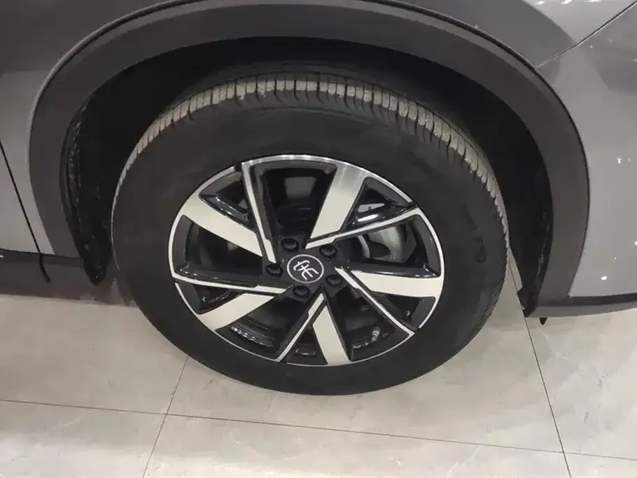 BYD Pro New Energy — фото 2