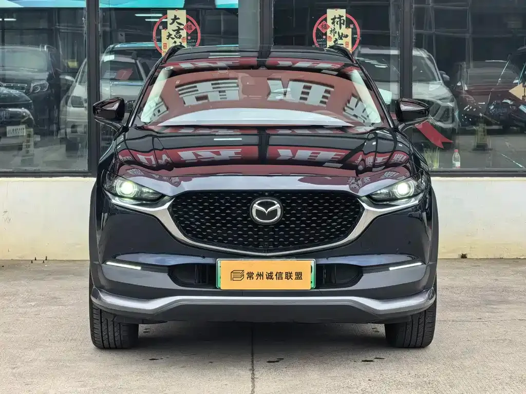 Mazda CX-30 EV — фото 6