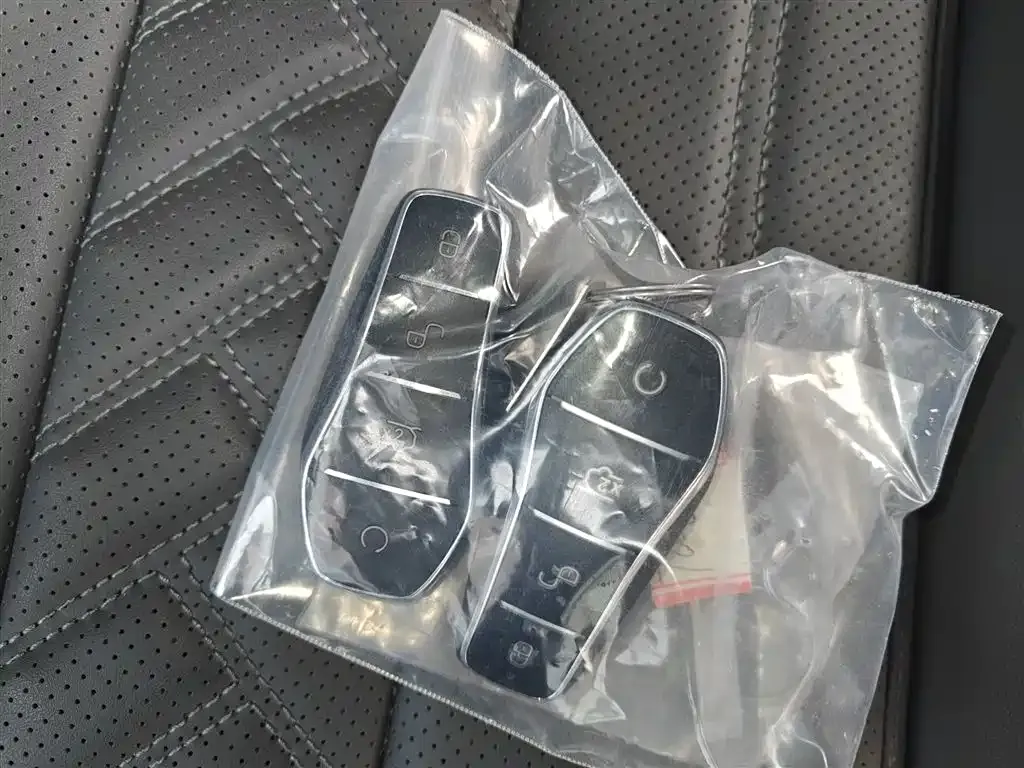 BYD L DM-i — фото 10