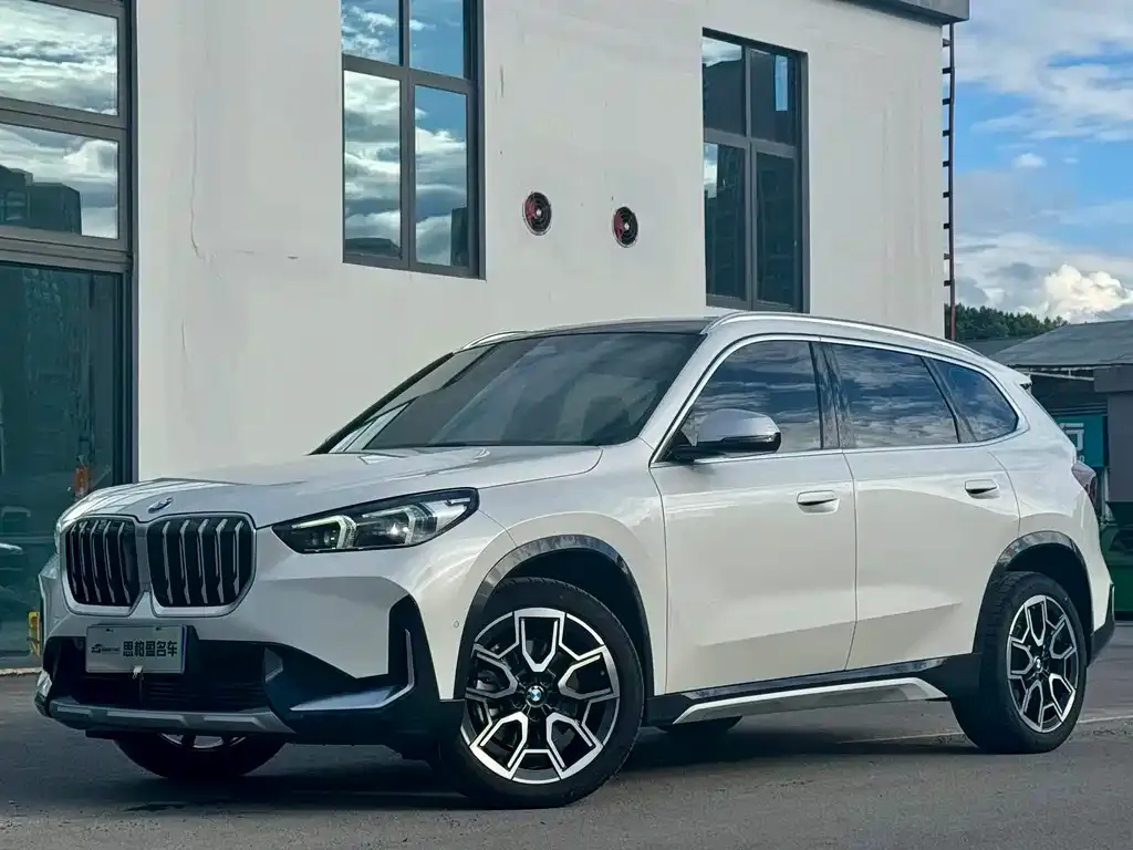 BMW X1 — фото 1