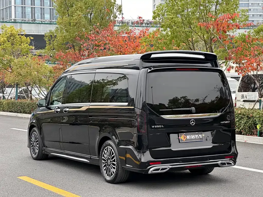 Mercedes-Benz V-Class — фото 7