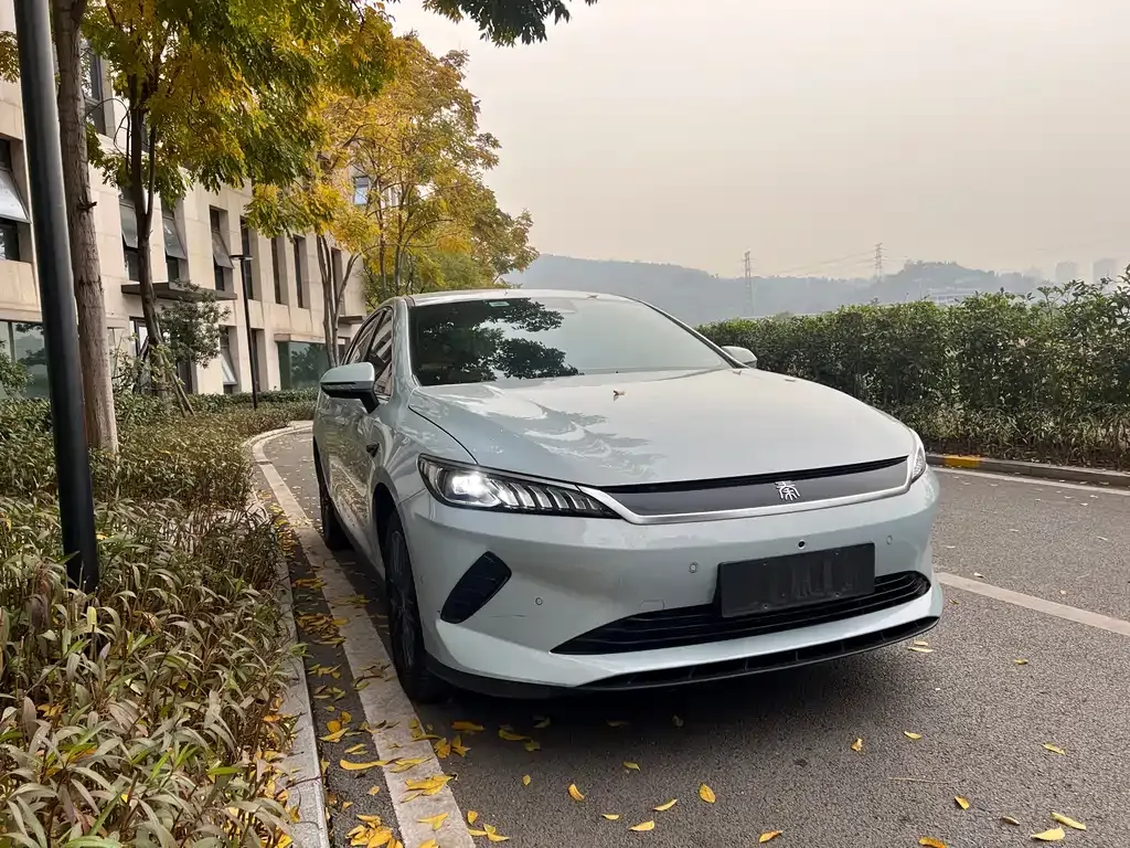 BYD Qin PLUS — фото 1
