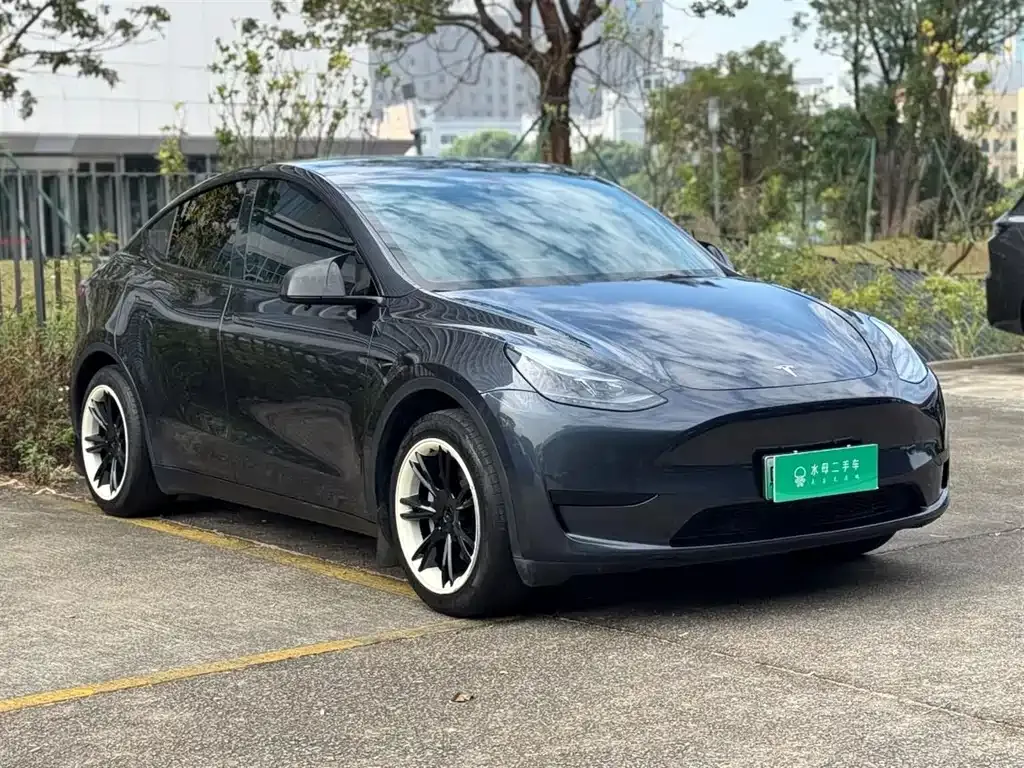 Tesla Model Y — фото 10