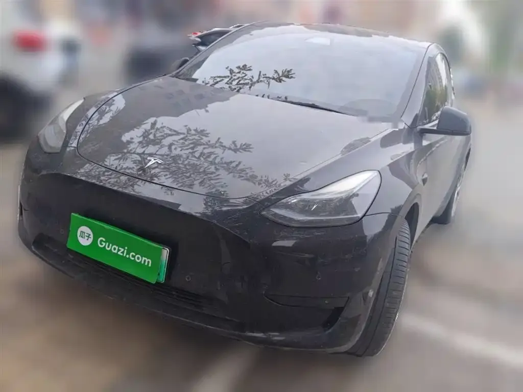 Tesla Model Y — фото 2