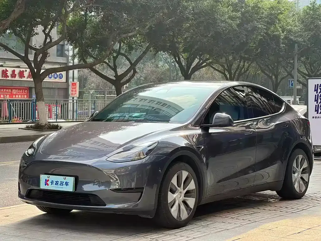 Tesla Model Y — фото 1