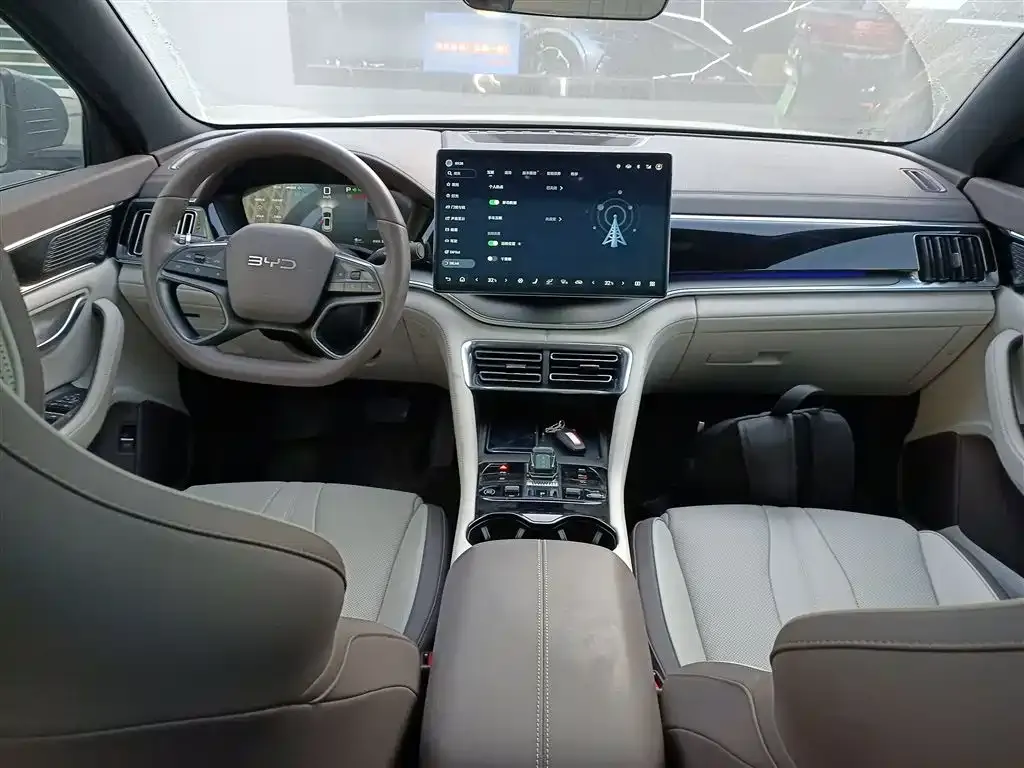 BYD PLUS New Energy — фото 2