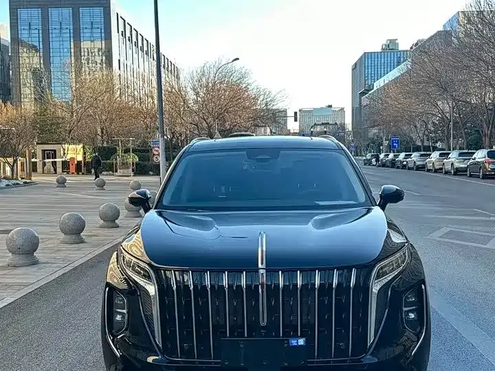 Hongqi HS7 PHEV — фото 4