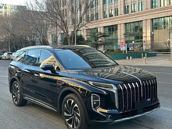 Hongqi HS7 PHEV — фото 8