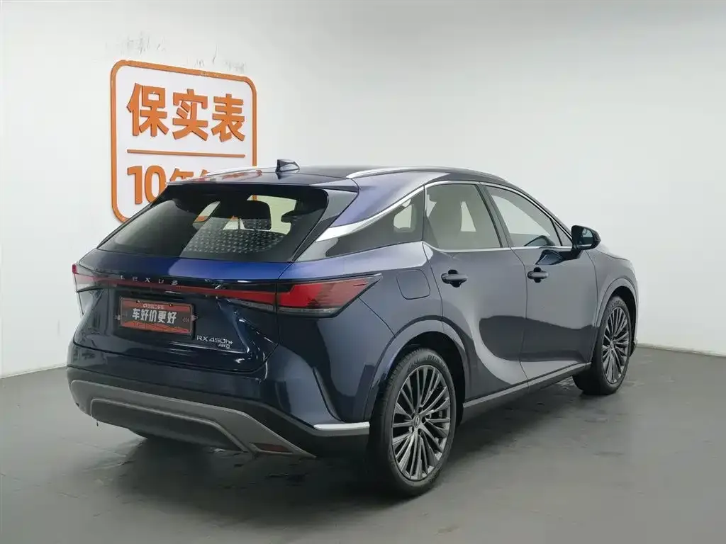 Lexus RX New Energy — фото 5