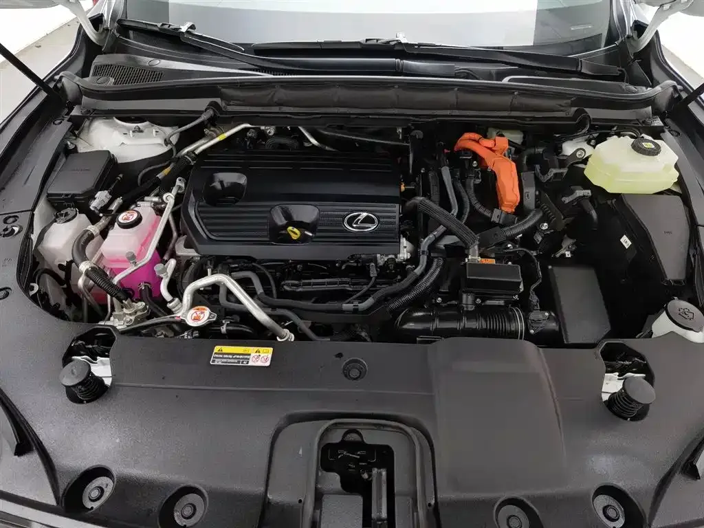 Lexus RX New Energy — фото 2