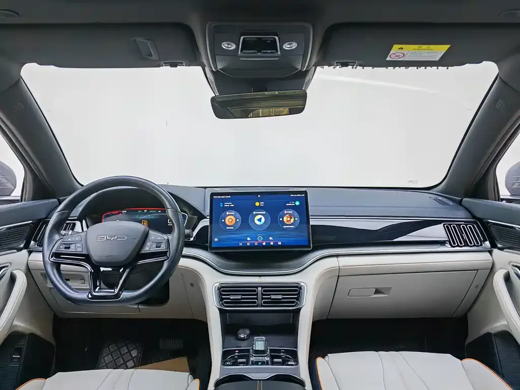 BYD PLUS New Energy — фото 10