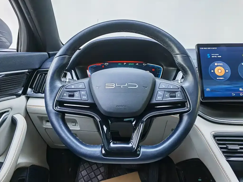 BYD PLUS New Energy — фото 3