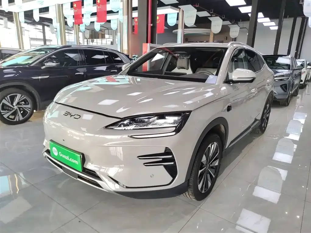 BYD PLUS New Energy — фото 1