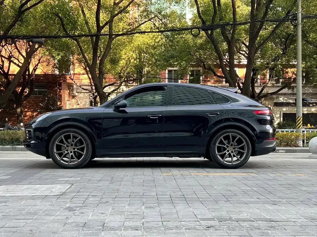 Porsche Cayenne — фото 10