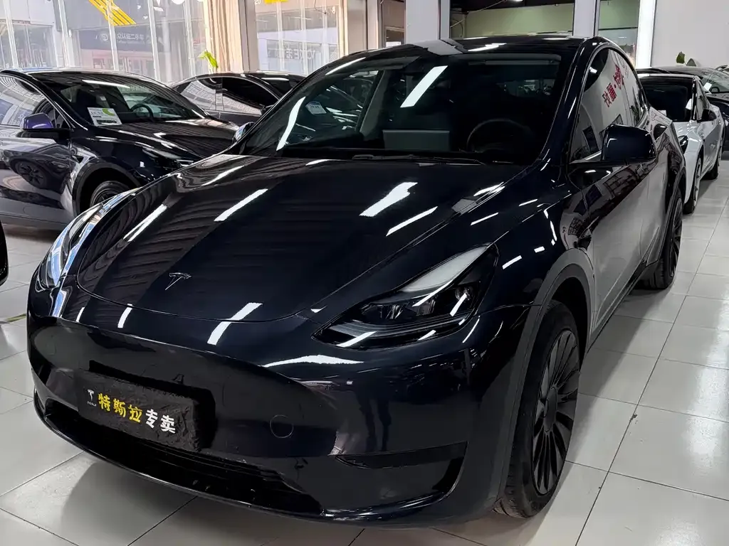 Tesla Model Y — фото 1