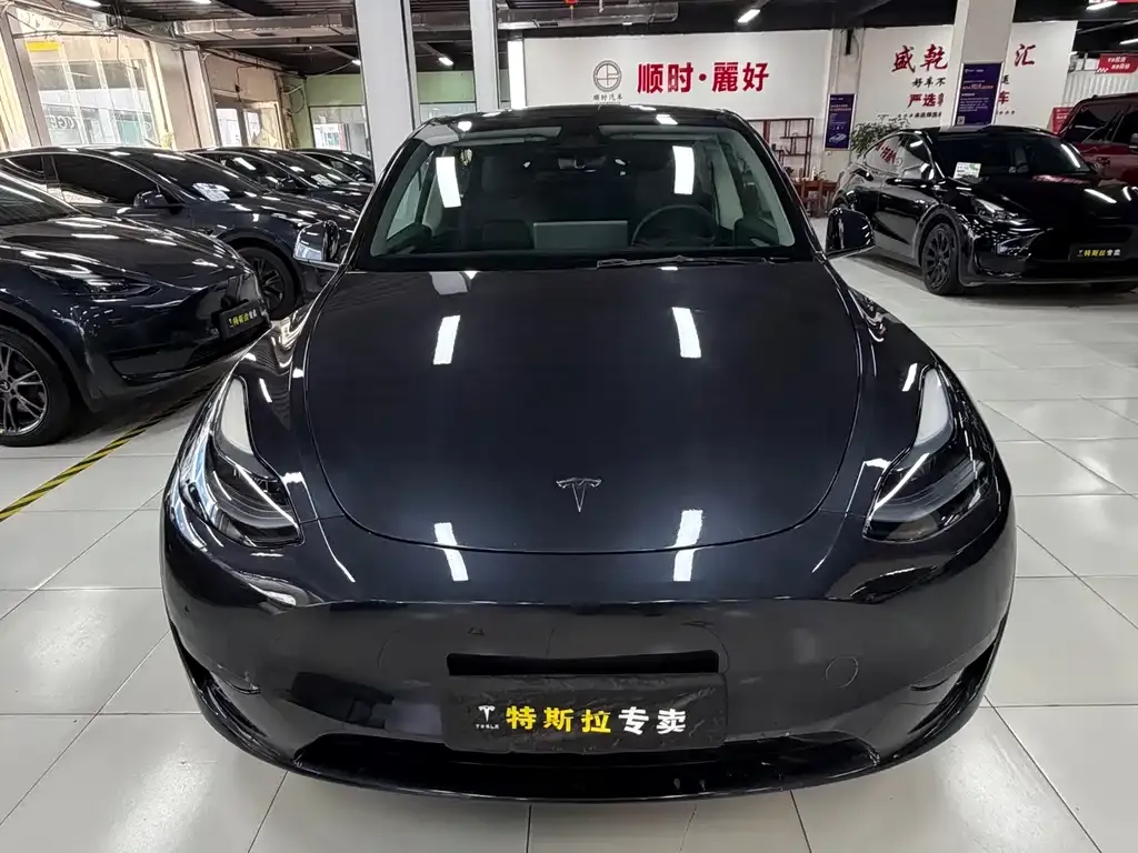 Tesla Model Y — фото 2