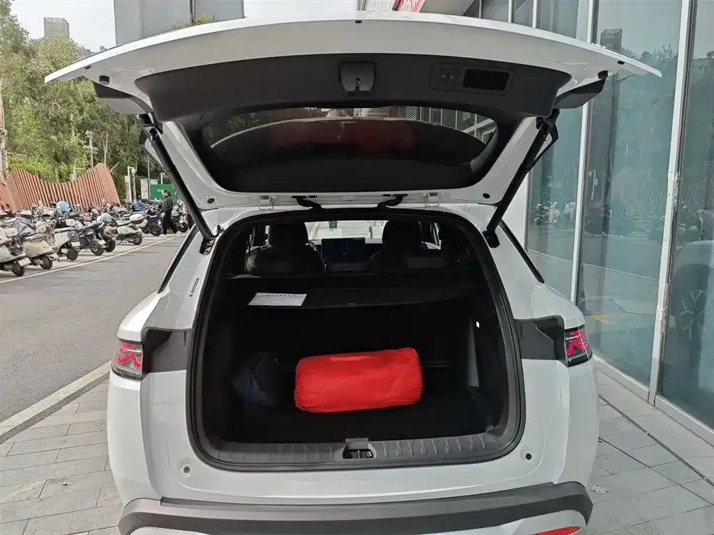 BYD L DM-i — фото 9