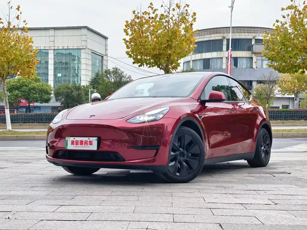 Tesla Model Y — фото 1