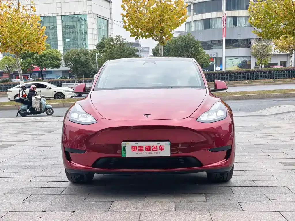 Tesla Model Y — фото 2