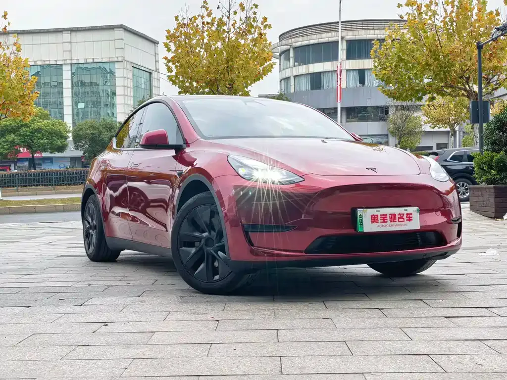 Tesla Model Y — фото 3