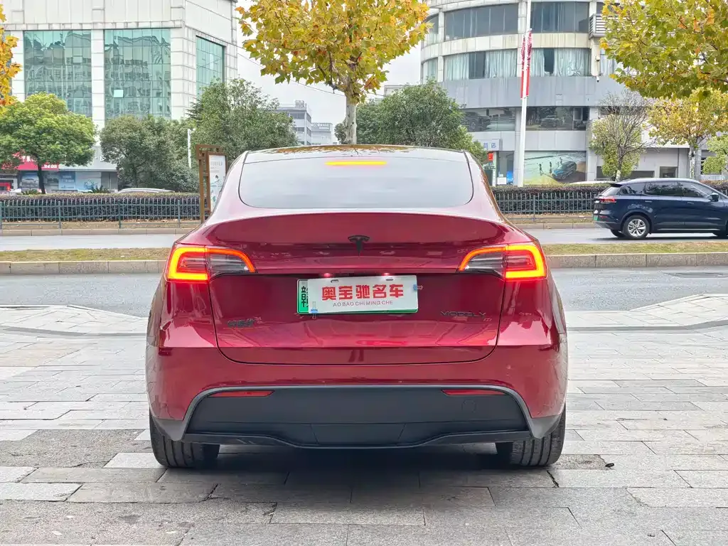 Tesla Model Y — фото 5