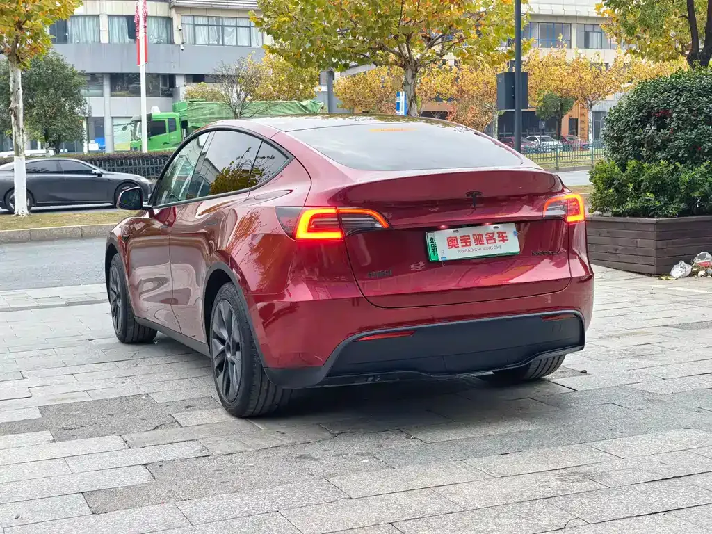 Tesla Model Y — фото 6