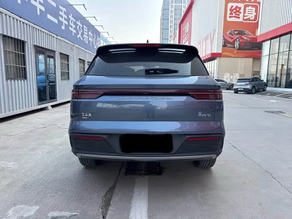 BYD Pro New Energy — фото 8