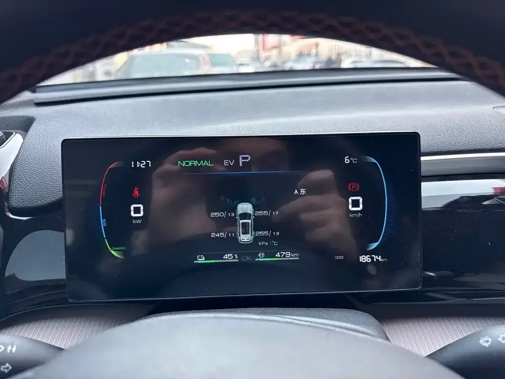 BYD Pro New Energy — фото 4