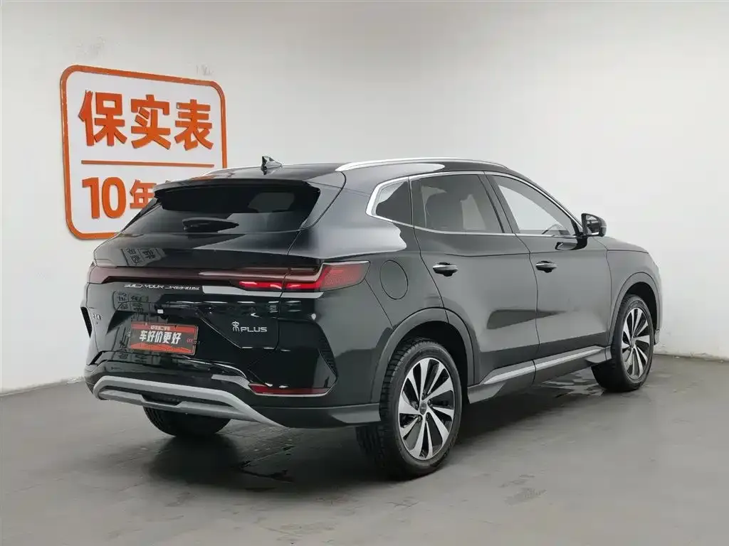 BYD PLUS New Energy — фото 2