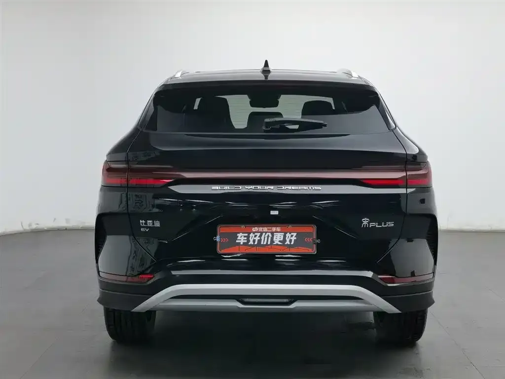 BYD PLUS New Energy — фото 4