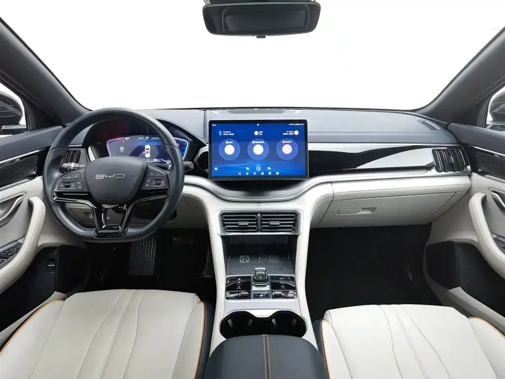 BYD PLUS New Energy — фото 5