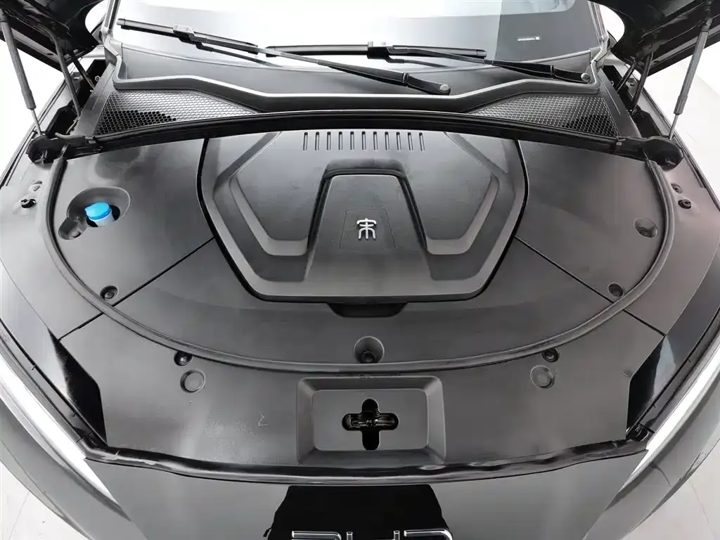 BYD PLUS New Energy — фото 6