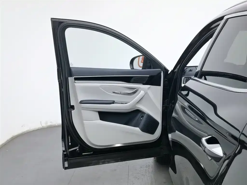 BYD PLUS New Energy — фото 8