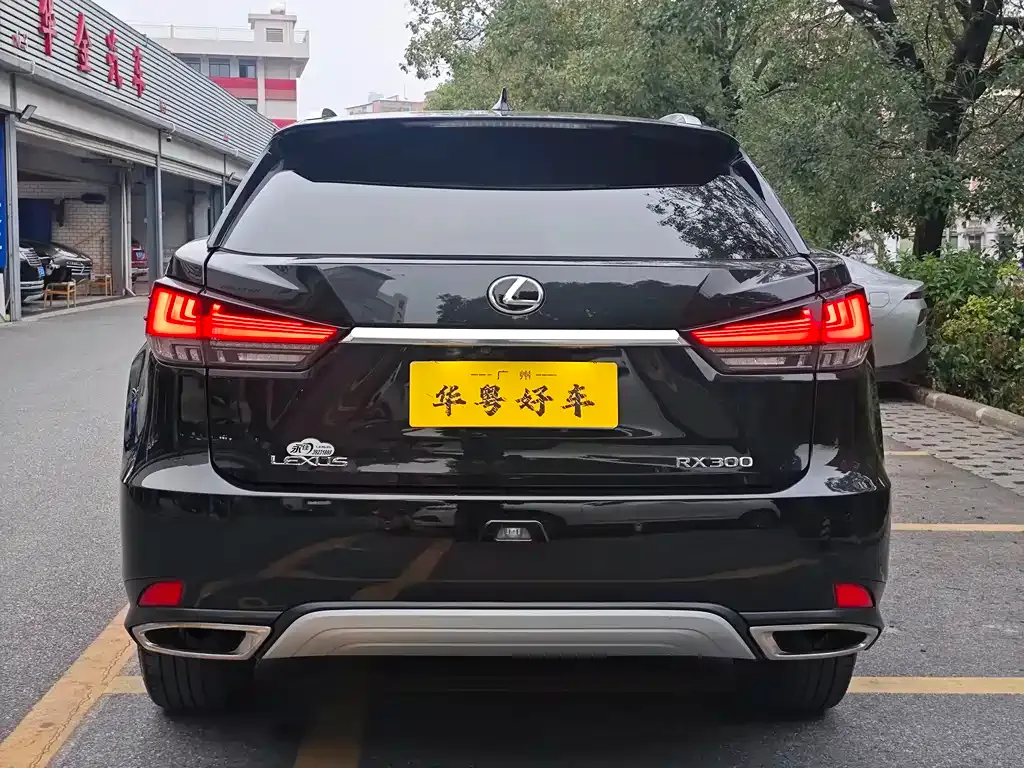 Lexus RX — фото 8