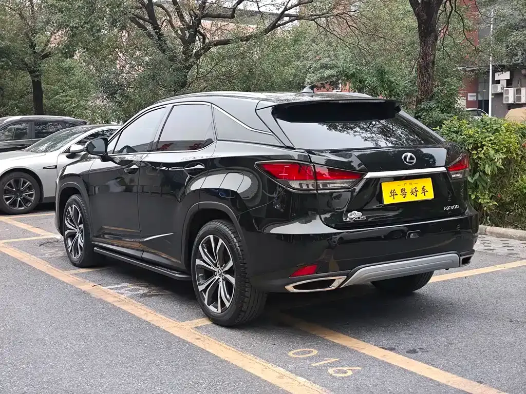Lexus RX — фото 10