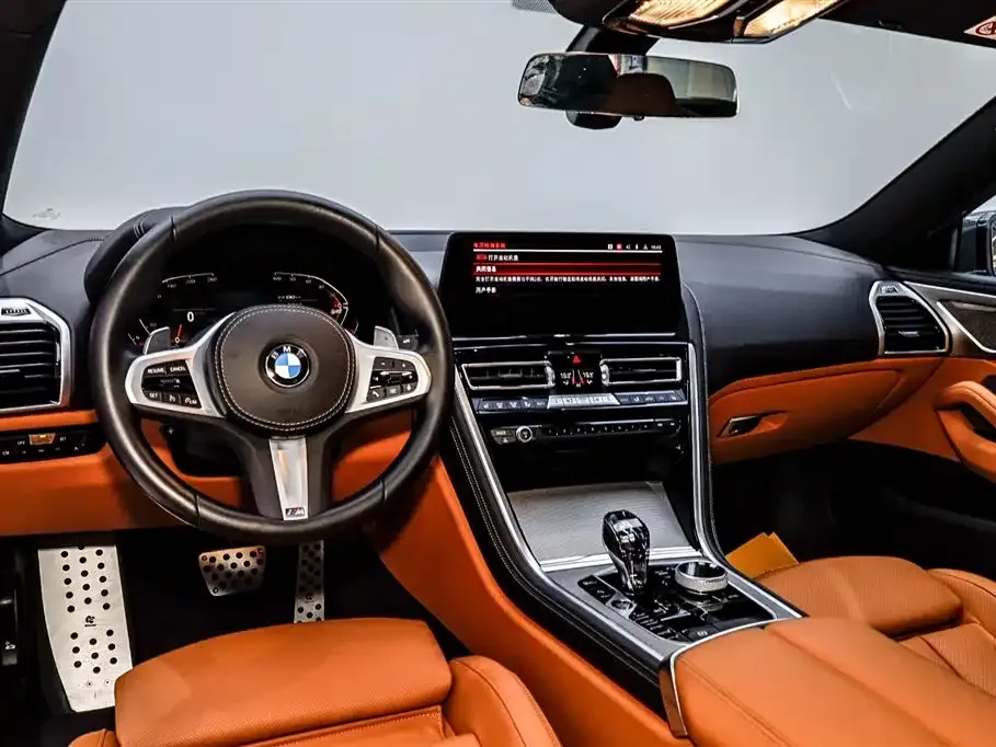 BMW 8 Series — фото 8