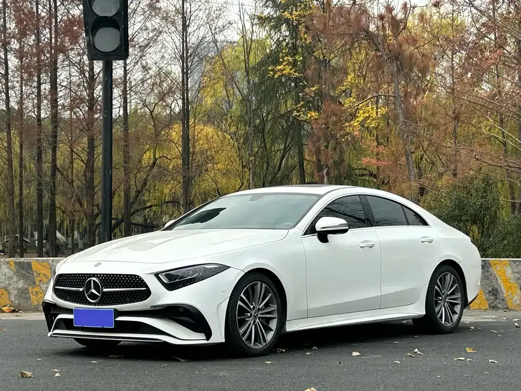 Mercedes-Benz CLS — фото 1