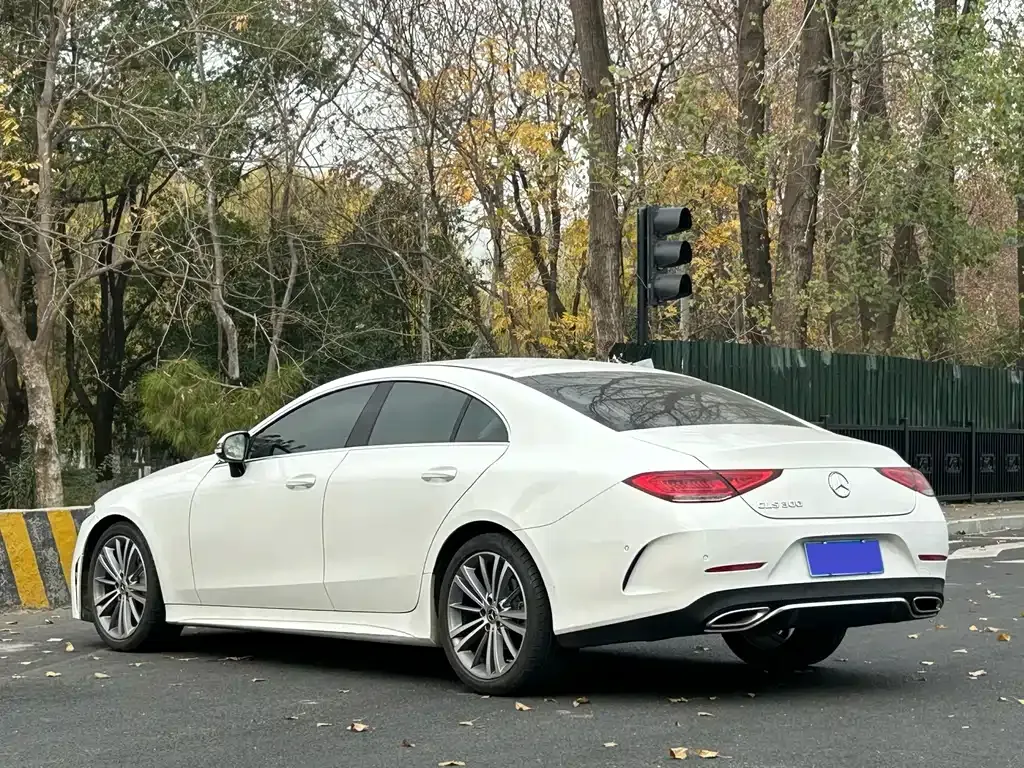 Mercedes-Benz CLS — фото 4