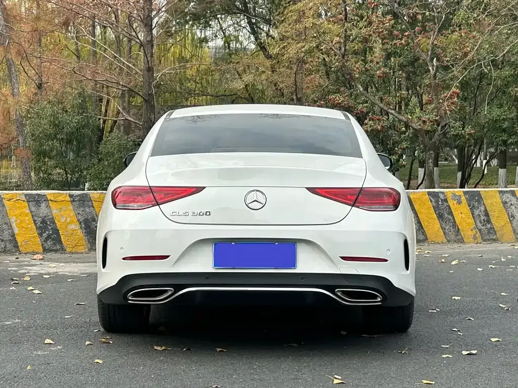 Mercedes-Benz CLS — фото 8